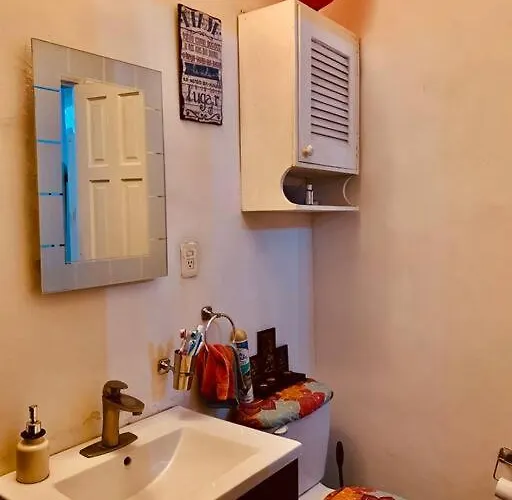 Lovely Cozy & Spacious In Heart Of Condesa *
