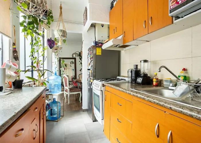 Lovely Cozy & Spacious In Heart Of Condesa *
