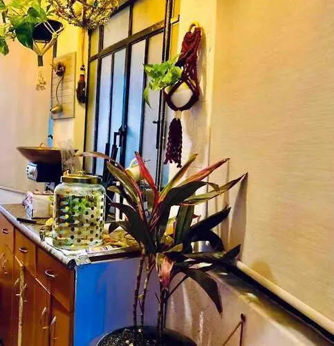Lovely Cozy & Spacious In Heart Of Condesa *