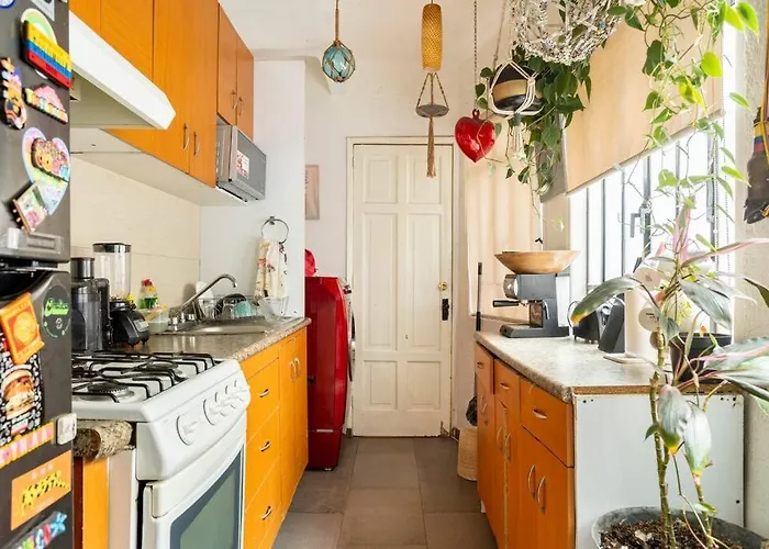 Lovely Cozy & Spacious In Heart Of Condesa México DF