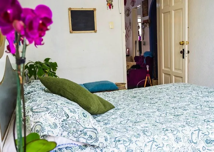 Lovely Cozy & Spacious In Heart Of Condesa *